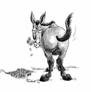 Meet your Posher, Julie